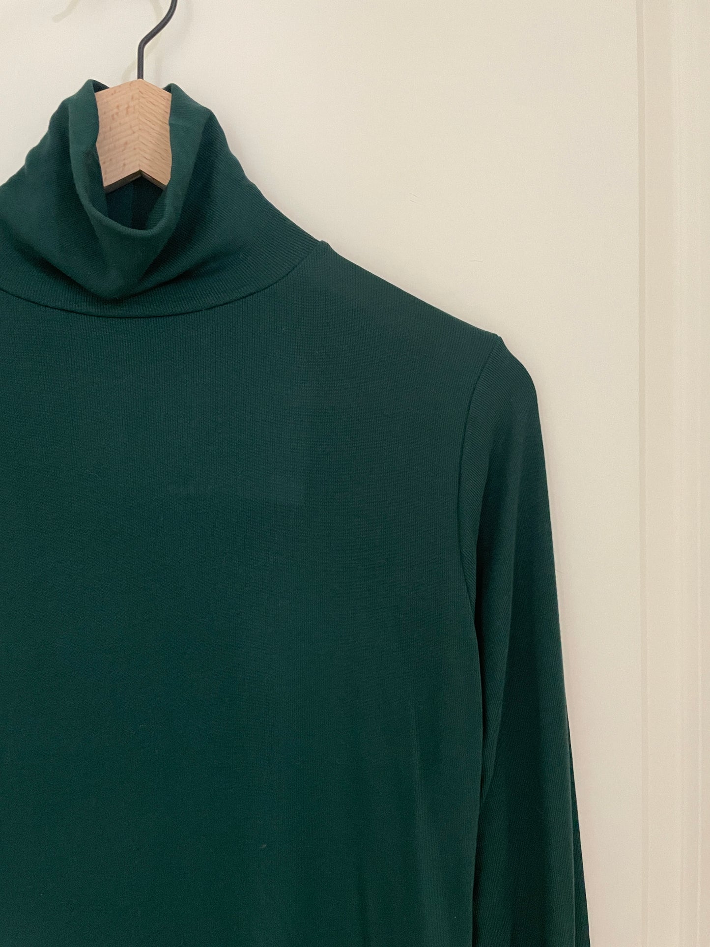 Tencel Turtleneck